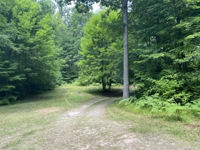 9190 Ferris Avenue, Bitely, Michigan 49309, USA