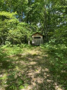 9190 Ferris Avenue, Bitely, Michigan 49309, Estados Unidos