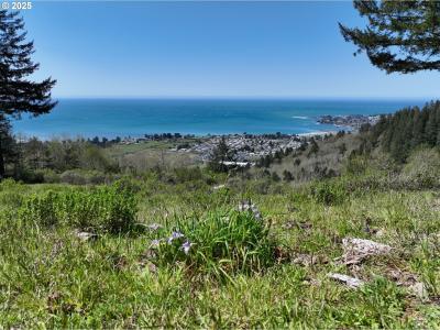 Harbor Hills Heights 308, Brookings, Орегон 97415, Соединенные Штаты