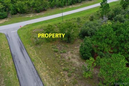2595 W Chamberlain Street, Dunnellon, Floryda 34434, USA
