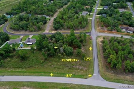 2595 W Chamberlain Street, Dunnellon, Floryda 34434, USA