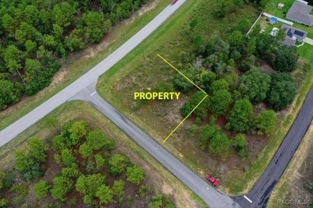 2595 W Chamberlain Street, Dunnellon, Floryda 34434, USA