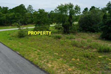 2595 W Chamberlain Street, Dunnellon, Floryda 34434, USA