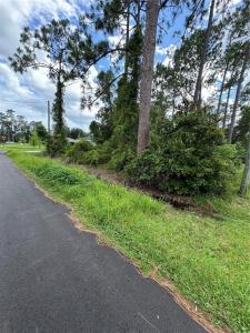 2026 7th Avenue, Deland, Florida 32724, Stati Uniti
