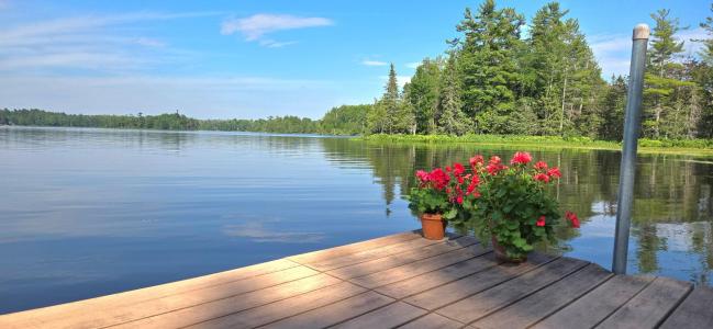 11072 ANNABELLE SHORES RD, Presque Isle, Wisconsin 54557, USA