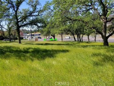 Olive Hwy, Oroville, 加利福尼亚州 95966, 美国