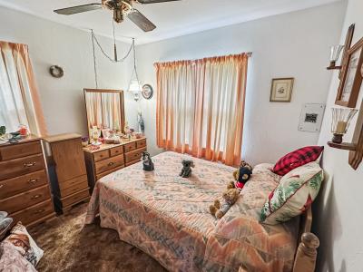 619 N. Ash Street, Carlsbad, NM 88220, USA