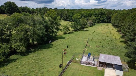 0 County Road 19, Heflin, Alabama 36264, HOA KỲ