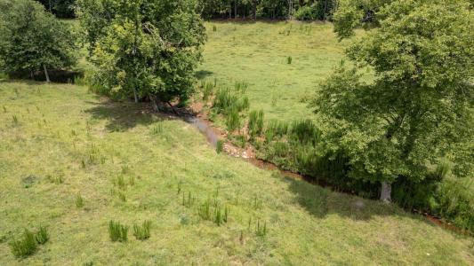 0 County Road 19, Heflin, Alabama 36264, HOA KỲ