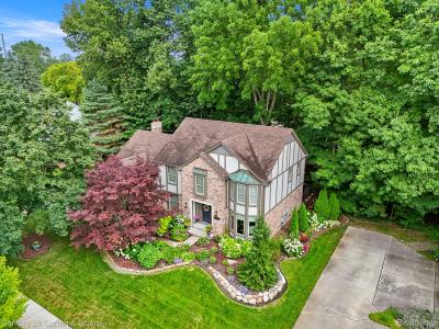 49238 Plum Tree Drive, Plymouth, Michigan 48170, Estados Unidos