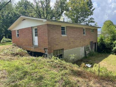 2104 Tick Ridge Rd., Hawesville, Kentucky 42348, USA