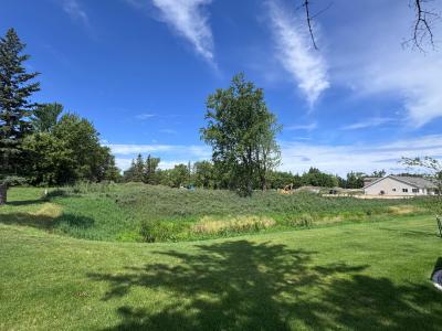 1407 Park Street, Fergus Falls, Minnesota 56537, USA