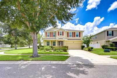 2499 Calvano Drive, Land O Lakes, Florida 34639, Estados Unidos