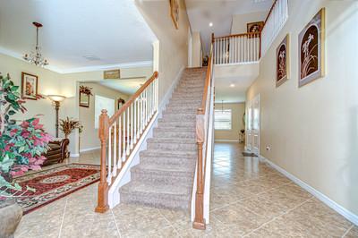 2499 Calvano Drive, Land O Lakes, Florida 34639, Estados Unidos