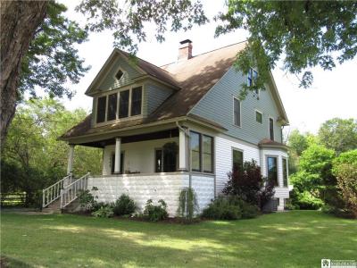 2089 S Maple Ave., Ashville, NY 14710, USA