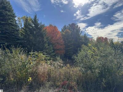 1.6 Acres January Drive, Traverse City, Michigan 49684, USA