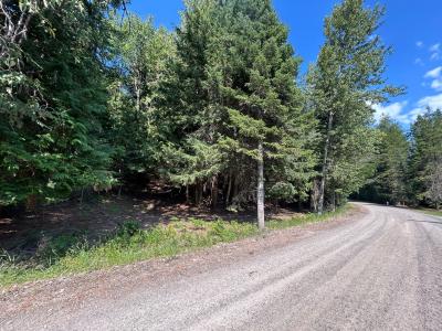 Lot 7 Blk 1 Fall Creek Rd, Naples, アイダホ 83847, アメリカ合衆国