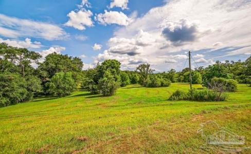 4890 Lemon Rd, Walnut Hill, פלורידה 32568, ארצות הברית של אמריקה 