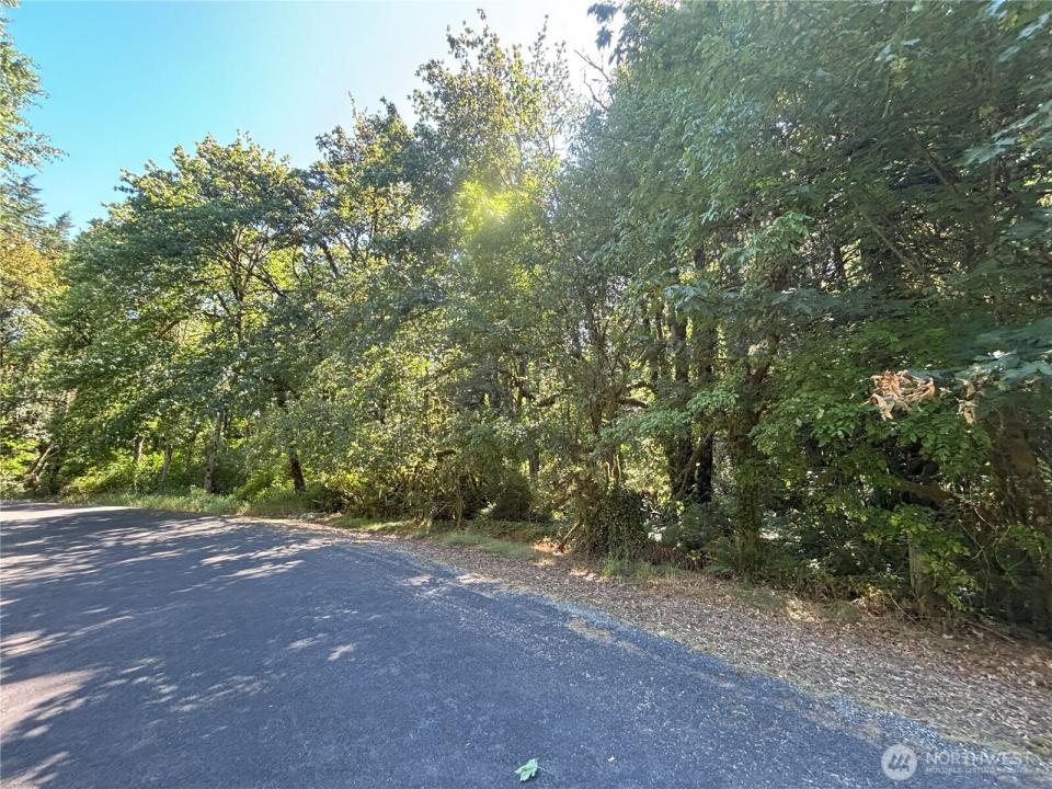 0 Hill Creek Road, Castle Rock, Washington 98611, Estados Unidos
