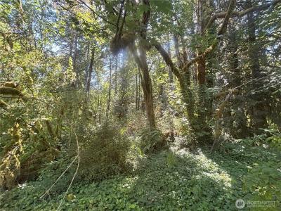 0 Hill Creek Road, Castle Rock, Washington 98611, Estados Unidos
