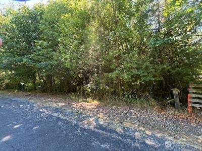 0 Hill Creek Road, Castle Rock, Washington 98611, USA