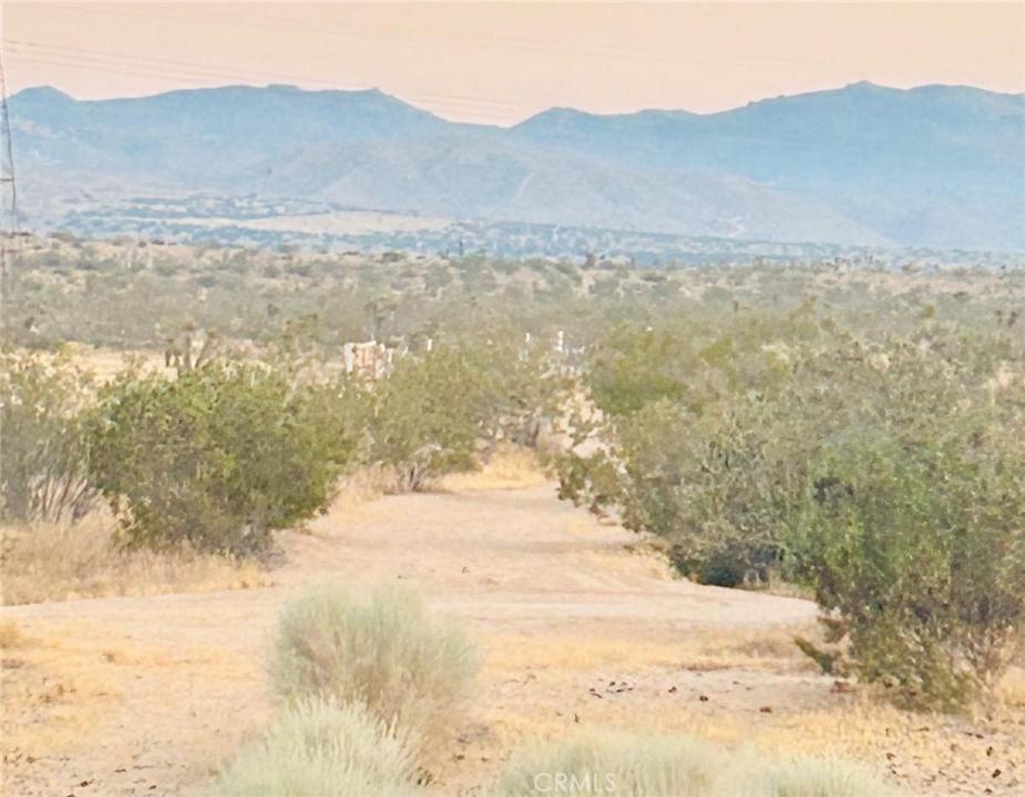 1 Cottonwood Springs, Lucerne Valley, 加州 92307, 美國