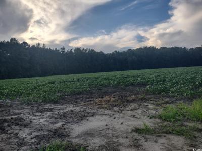 TBD Beaver Rd., Hemingway, サウスカロライナ 29554, アメリカ合衆国