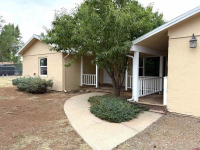 1102 S Chestnut, Cortez, Colorado 81321, USA