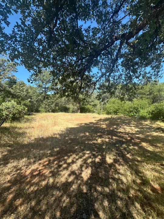 17232 Golden Arrow Trail, Rackerby, קליפורניה 95972, ארצות הברית של אמריקה