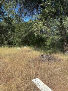 17232 Golden Arrow Trail, Rackerby, קליפורניה 95972, ארצות הברית של אמריקה