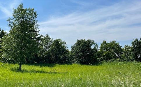 Lot 4 Seclusion Point Road, Dent, Minnesota 56528, USA
