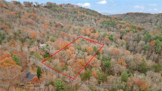 00 Oceola Drive, Ellijay, Georgia 30540, Estados Unidos