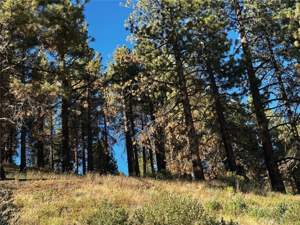 1 Conway Dr Drive, Running Springs, Califórnia 92382, Estados Unidos