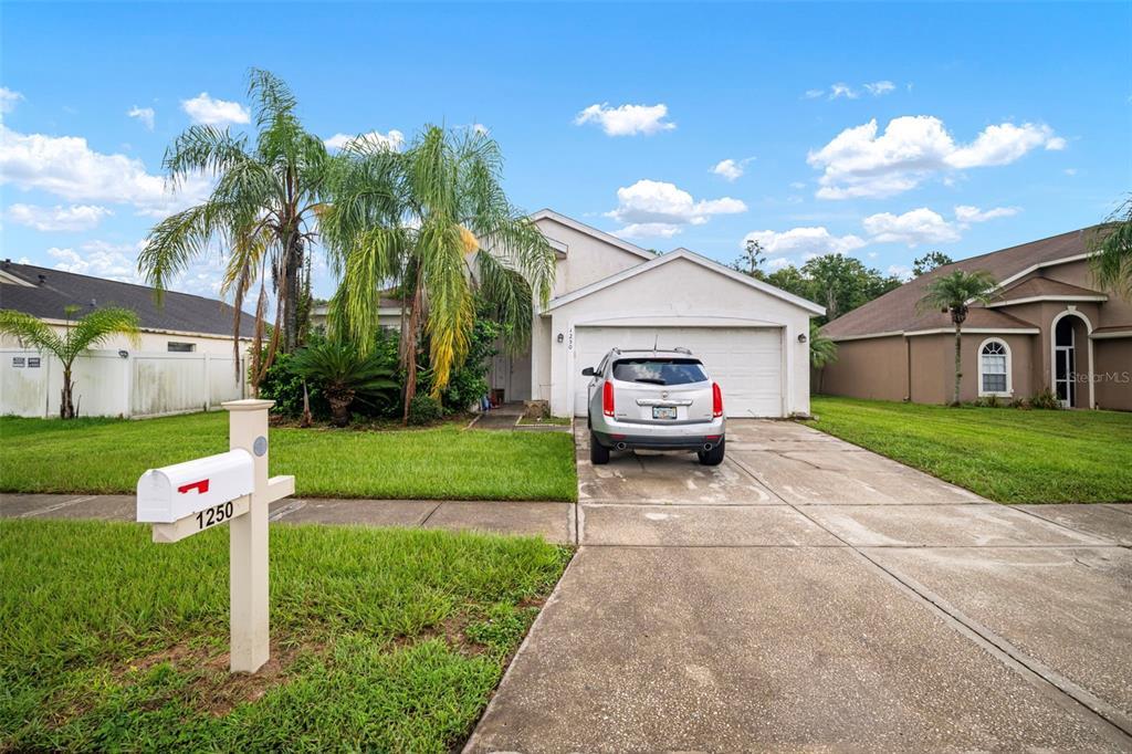 1250 Timber Trace Drive, Wesley Chapel, פלורידה 33543, ארצות הברית של אמריקה 