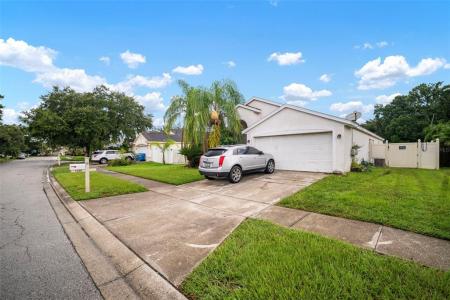 1250 Timber Trace Drive, Wesley Chapel, פלורידה 33543, ארצות הברית של אמריקה 