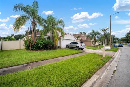 1250 Timber Trace Drive, Wesley Chapel, פלורידה 33543, ארצות הברית של אמריקה 