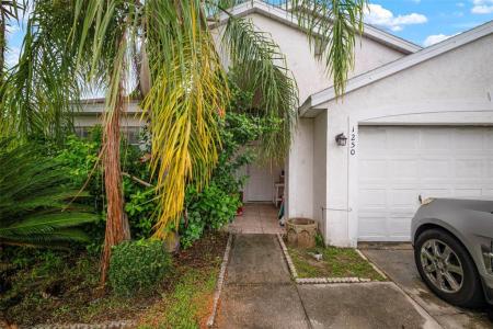 1250 Timber Trace Drive, Wesley Chapel, פלורידה 33543, ארצות הברית של אמריקה 