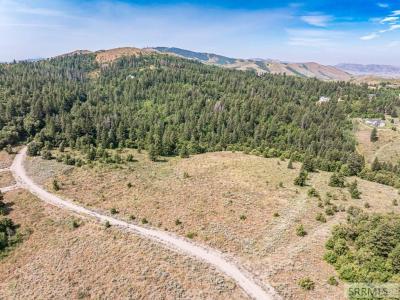 NYD Panorama Road, POCATELLO, איידהו 83201, ארצות הברית של אמריקה