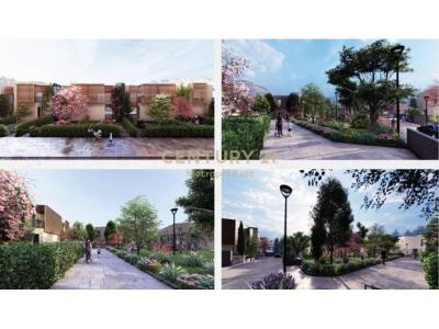 Mjull - Bathore, Tirana, ألبانيا
