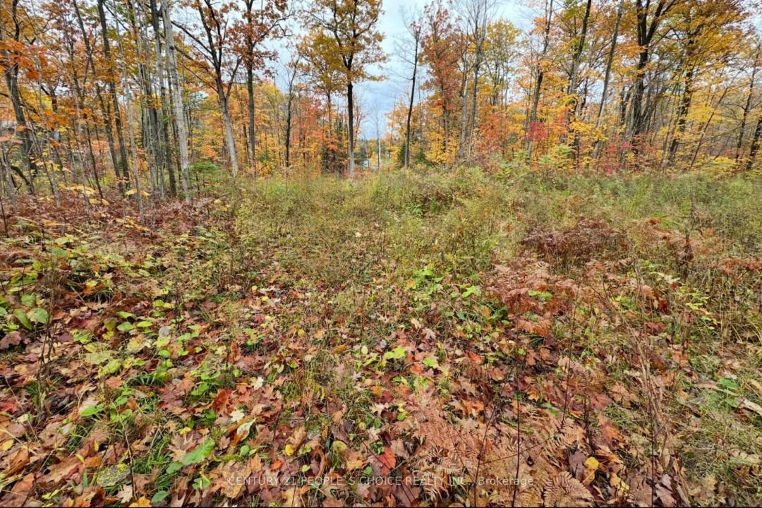 3700 NARROWS ROAD, Severn, Ontario L0K 1S0, Kanada