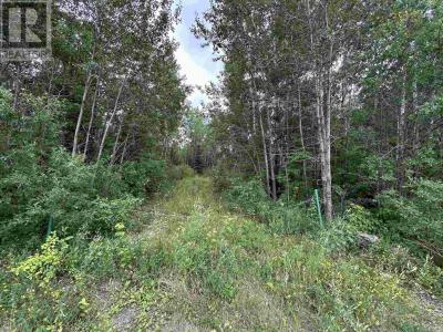 905 FROG CREEK RD, Alberton, Ontario P9A 3M2, Canada