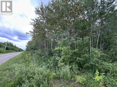 905 FROG CREEK RD, Alberton, Ontario P9A 3M2, Canada