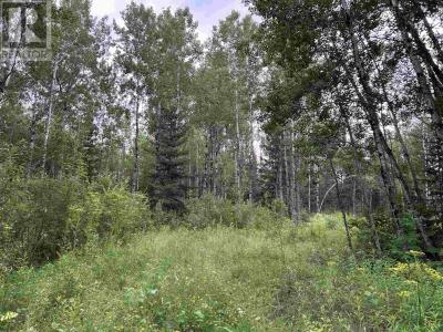 905 FROG CREEK RD, Alberton, Ontario P9A 3M2, Canada