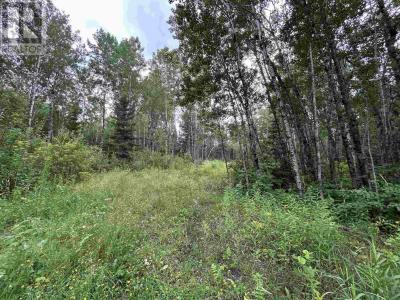 905 FROG CREEK RD, Alberton, Ontario P9A 3M2, Canada