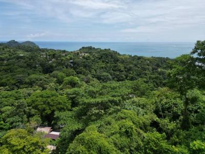 Pajaro Azul , Quepos Quepos, Puntarenas 60601, 哥斯達尼加