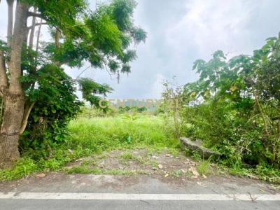 鹿得一段, Dongshan Township, Yilan City 269, Taiwan