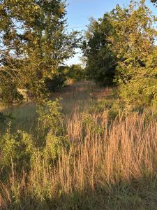 7631 Highway 11, Campobello, South Carolina 29322