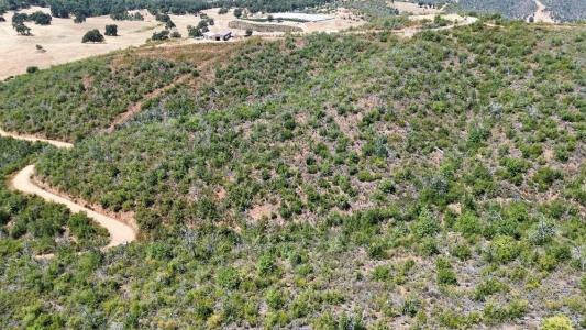 8519 Maranatha Lane, Mokelumne Hill, 加利福尼亚州 95245, 美国