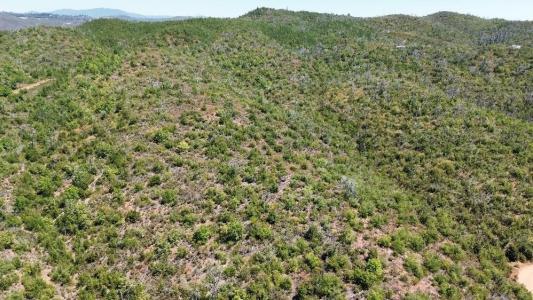 8519 Maranatha Lane, Mokelumne Hill, קליפורניה 95245, ארצות הברית של אמריקה