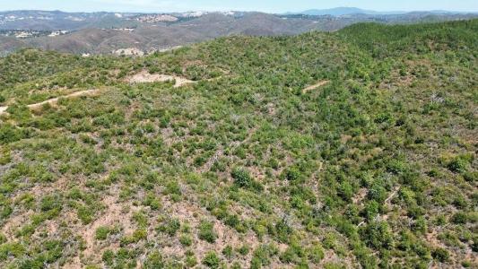 8519 Maranatha Lane, Mokelumne Hill, קליפורניה 95245, ארצות הברית של אמריקה